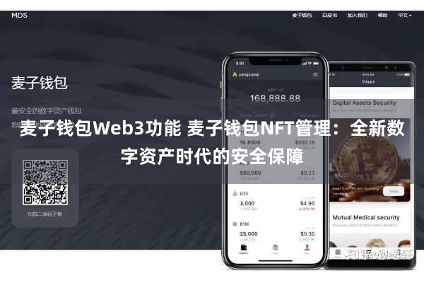 麦子钱包Web3功能 麦子钱包NFT管理：全新数字资产时代的安全保障