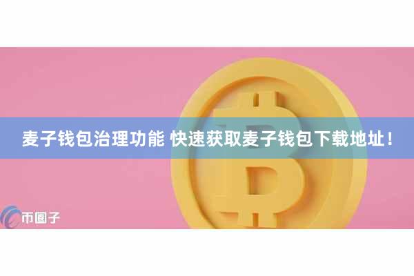 麦子钱包治理功能 快速获取麦子钱包下载地址！