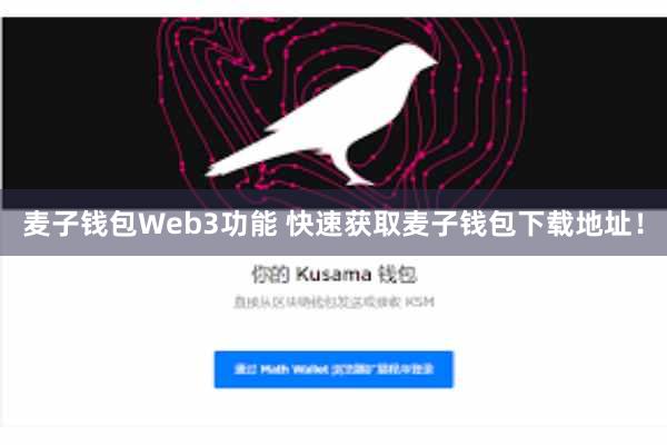 麦子钱包Web3功能 快速获取麦子钱包下载地址！