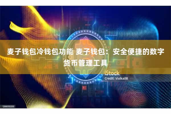 麦子钱包冷钱包功能 麦子钱包：安全便捷的数字货币管理工具