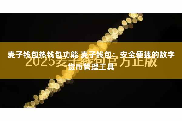 麦子钱包热钱包功能 麦子钱包：安全便捷的数字货币管理工具