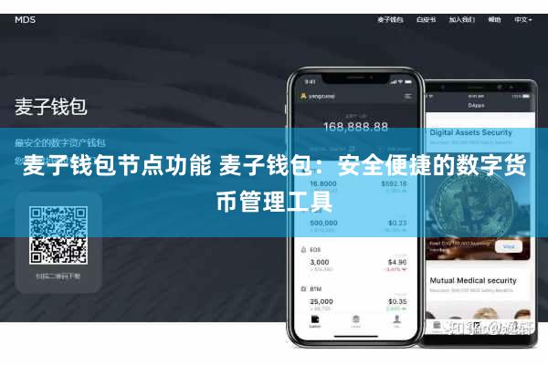 麦子钱包节点功能 麦子钱包：安全便捷的数字货币管理工具