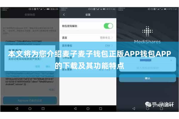 本文将为您介绍麦子麦子钱包正版APP钱包APP的下载及其功能特点