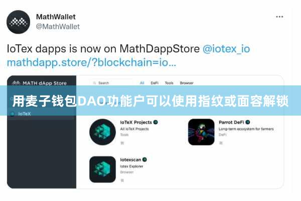 用麦子钱包DAO功能户可以使用指纹或面容解锁