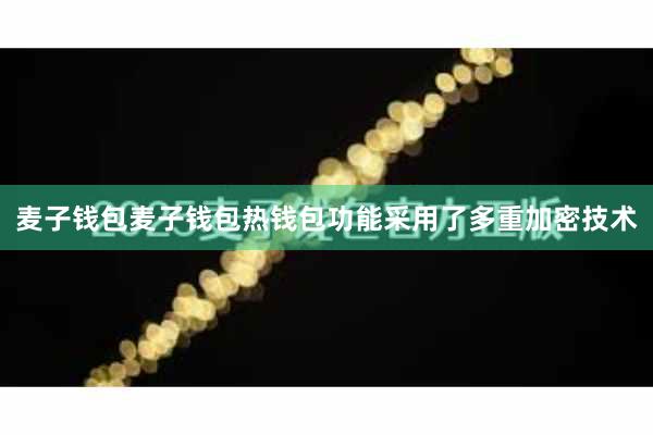 麦子钱包麦子钱包热钱包功能采用了多重加密技术