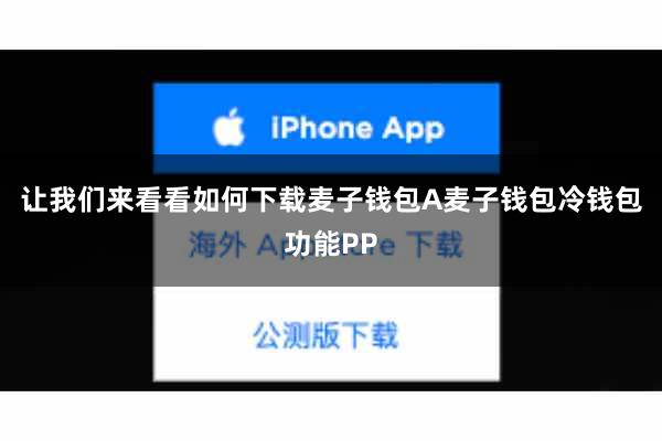 让我们来看看如何下载麦子钱包A麦子钱包冷钱包功能PP