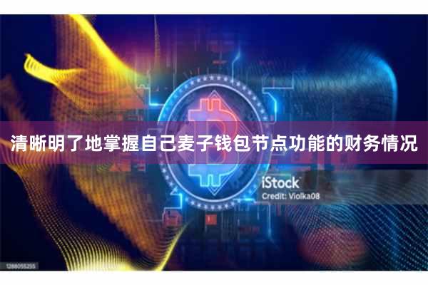 清晰明了地掌握自己麦子钱包节点功能的财务情况