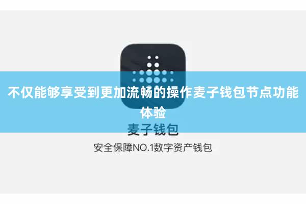 不仅能够享受到更加流畅的操作麦子钱包节点功能体验