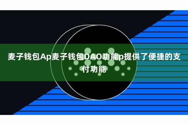 麦子钱包Ap麦子钱包DAO功能p提供了便捷的支付功能