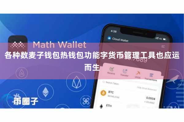 各种数麦子钱包热钱包功能字货币管理工具也应运而生
