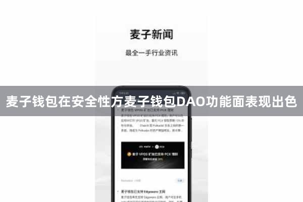 麦子钱包在安全性方麦子钱包DAO功能面表现出色