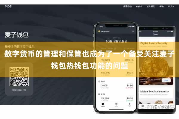 数字货币的管理和保管也成为了一个备受关注麦子钱包热钱包功能的问题