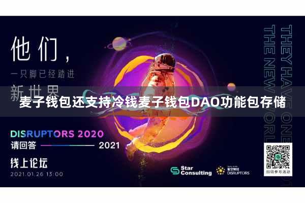 麦子钱包还支持冷钱麦子钱包DAO功能包存储