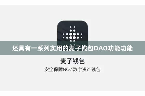 还具有一系列实用的麦子钱包DAO功能功能