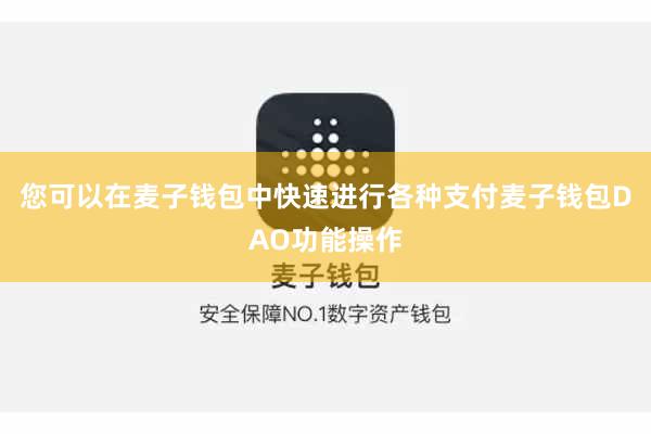您可以在麦子钱包中快速进行各种支付麦子钱包DAO功能操作