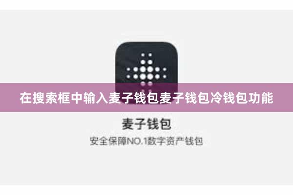 在搜索框中输入麦子钱包麦子钱包冷钱包功能