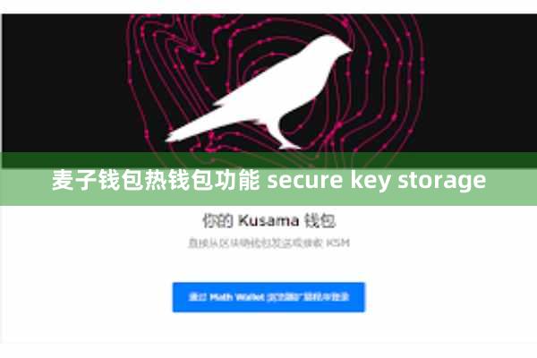 麦子钱包热钱包功能 secure key storage