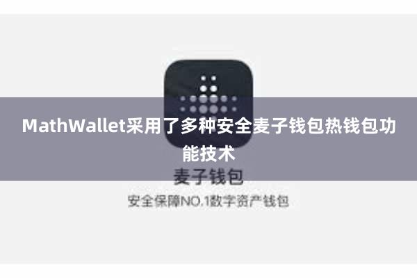 MathWallet采用了多种安全麦子钱包热钱包功能技术