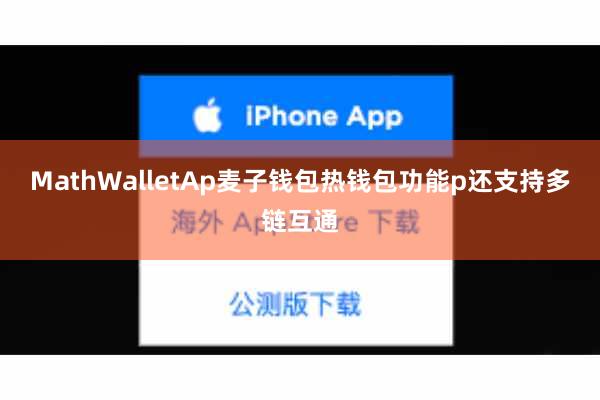 MathWalletAp麦子钱包热钱包功能p还支持多链互通