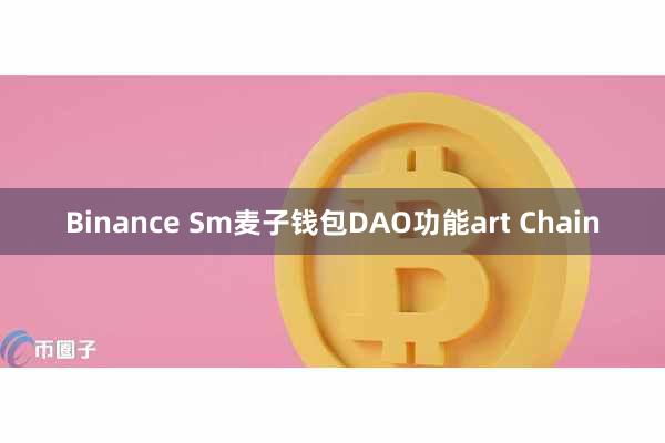 Binance Sm麦子钱包DAO功能art Chain