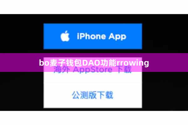 bo麦子钱包DAO功能rrowing