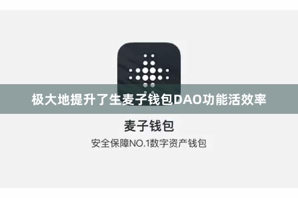 极大地提升了生麦子钱包DAO功能活效率