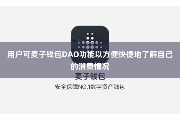 用户可麦子钱包DAO功能以方便快捷地了解自己的消费情况