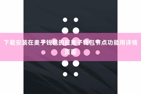 下载安装在麦子钱包的应麦子钱包节点功能用详情页面