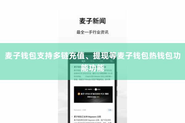 麦子钱包支持多链充值、提现等麦子钱包热钱包功能功能
