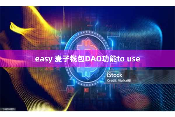 easy 麦子钱包DAO功能to use