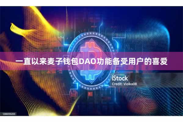 一直以来麦子钱包DAO功能备受用户的喜爱