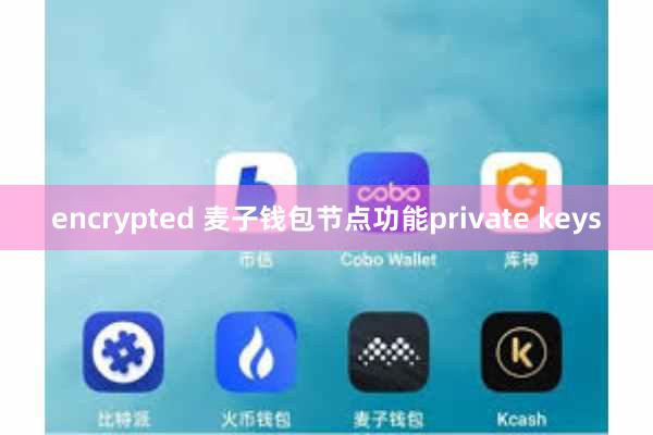 encrypted 麦子钱包节点功能private keys